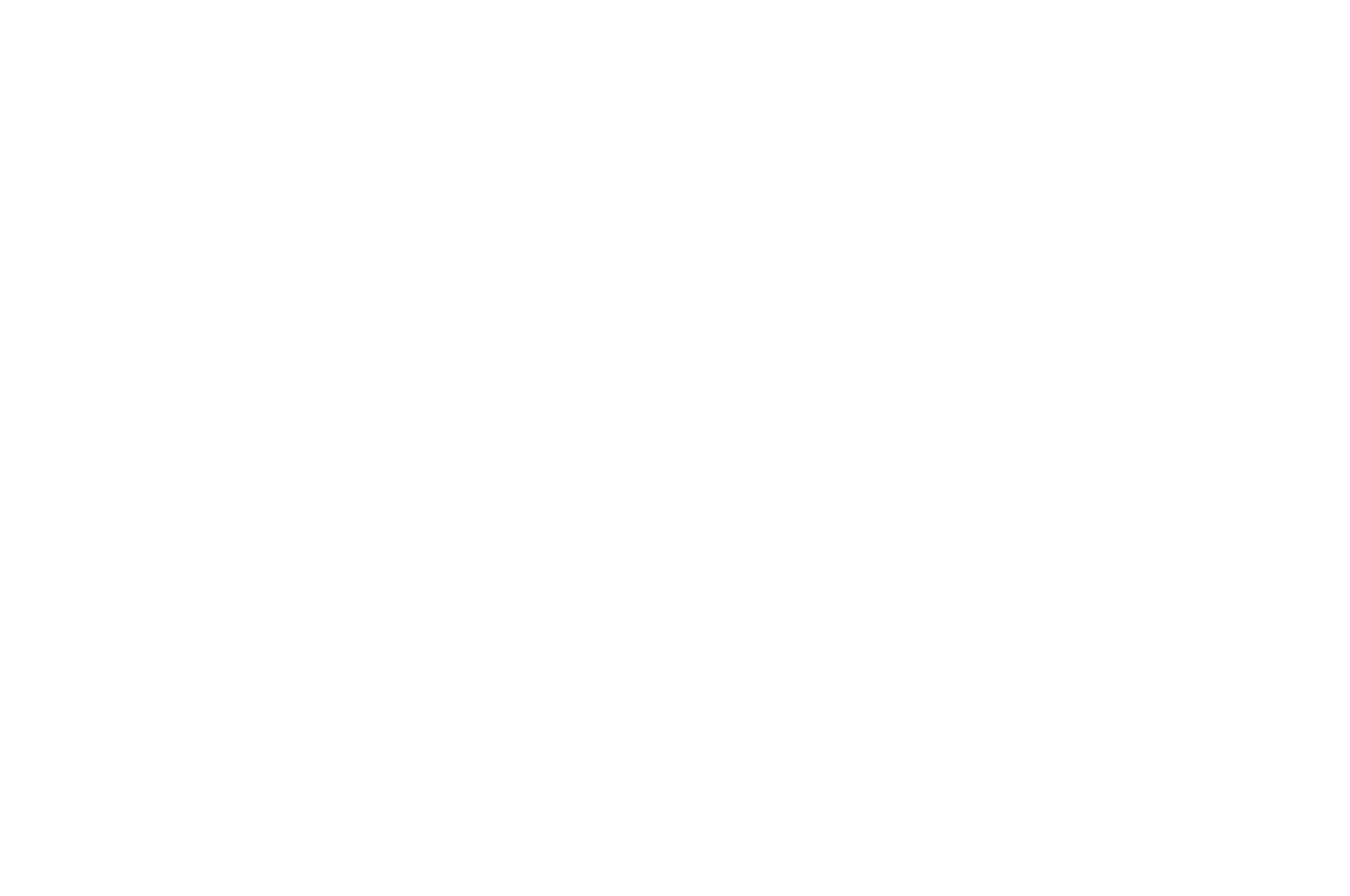 Best Director — Music Video — Mars International Film Festival